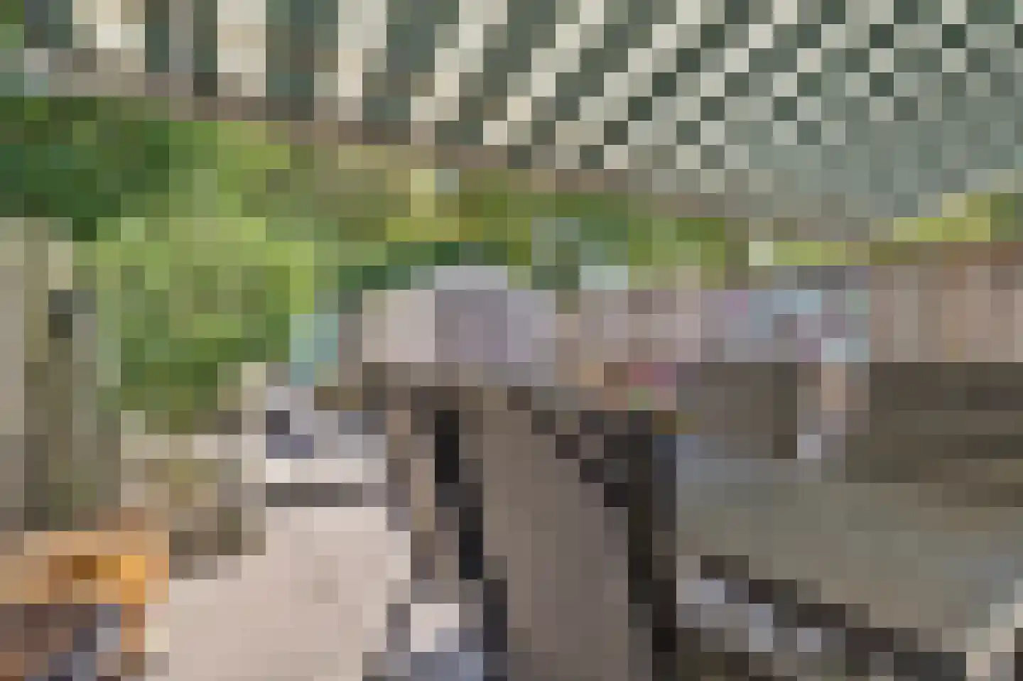 Steenakker 6 Gendt thumbnail 18