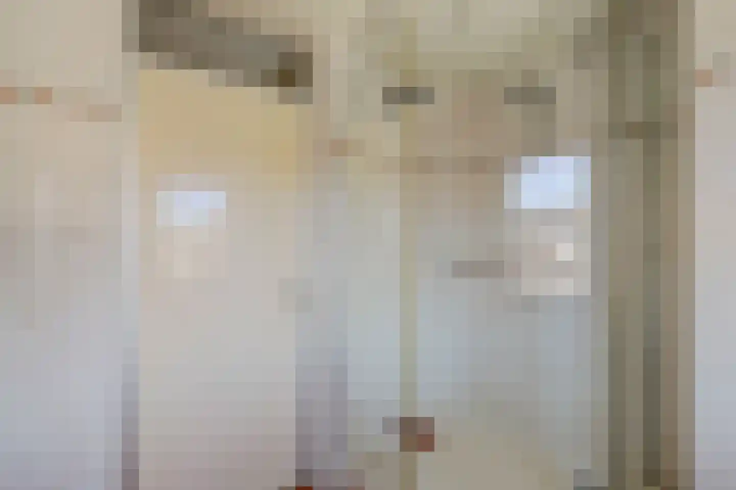 Steenakker 6 Gendt thumbnail 32