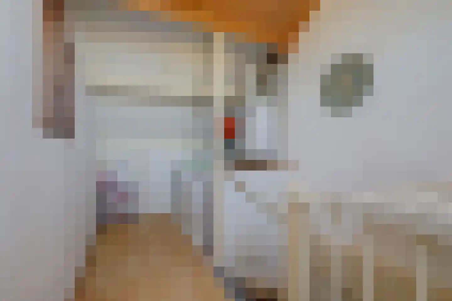Steenakker 6 Gendt thumbnail 33
