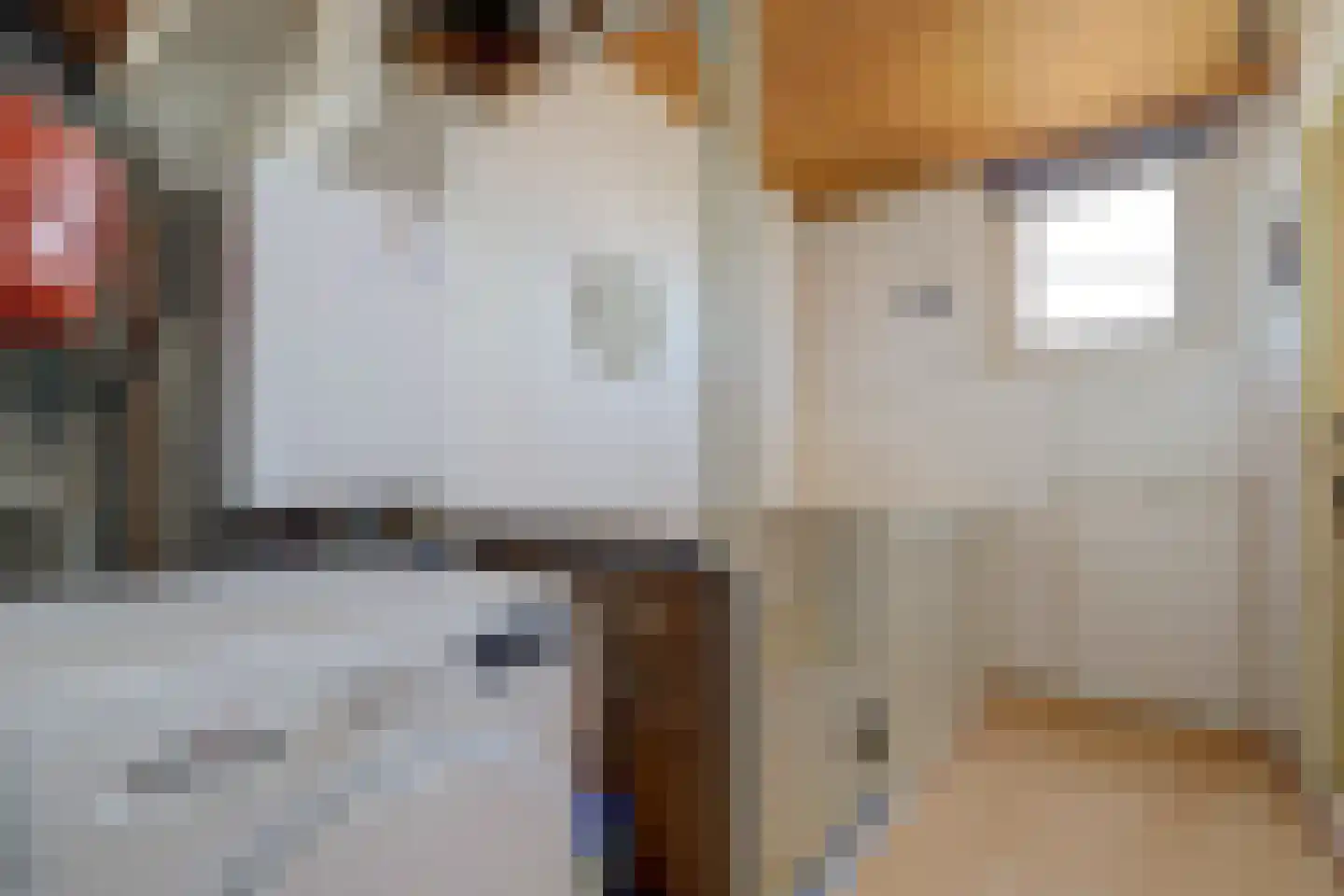 Steenakker 6 Gendt thumbnail 34