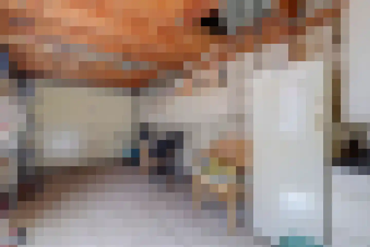 Steenakker 6 Gendt thumbnail 38