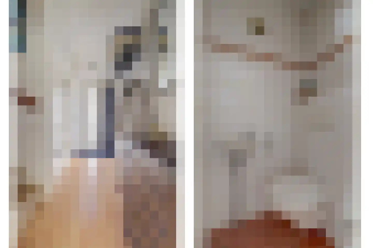 Steenakker 6 Gendt thumbnail 5