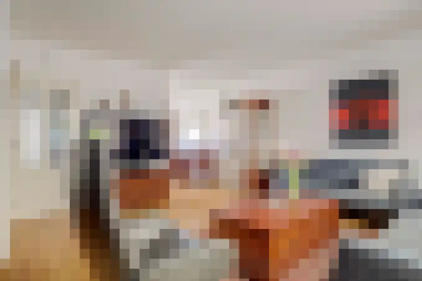 Steenakker 6 Gendt thumbnail 9