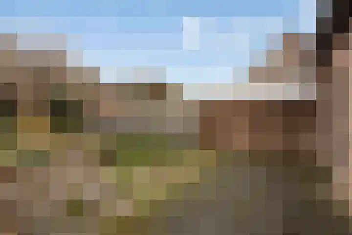 Steenakker 60 Druten thumbnail 21