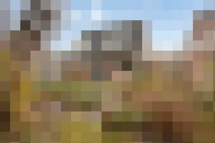 Steenakker 60 Druten thumbnail 23