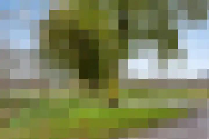Steenakker 60 Druten thumbnail 24