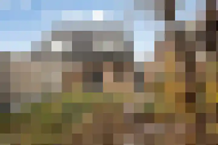 Steenakker 60 Druten thumbnail 4