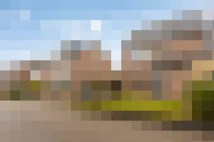 Steenakker 60 Druten thumbnail 5