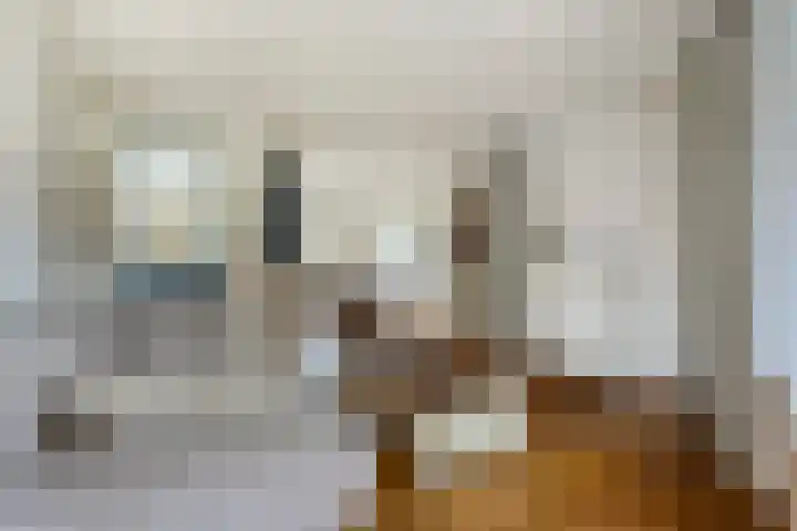 Steenakker 60 Druten thumbnail 7