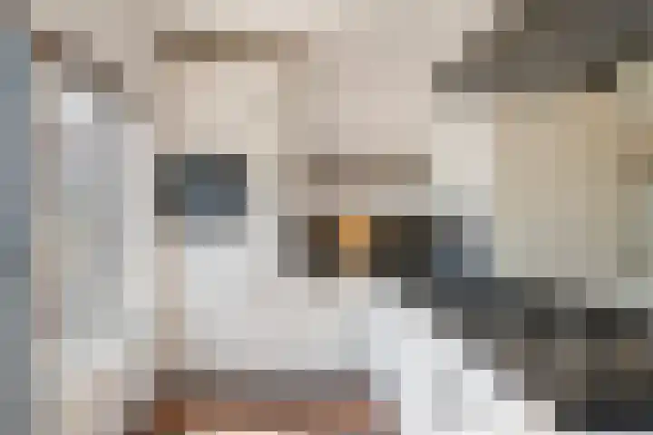 Steenakker 71 Druten thumbnail 10