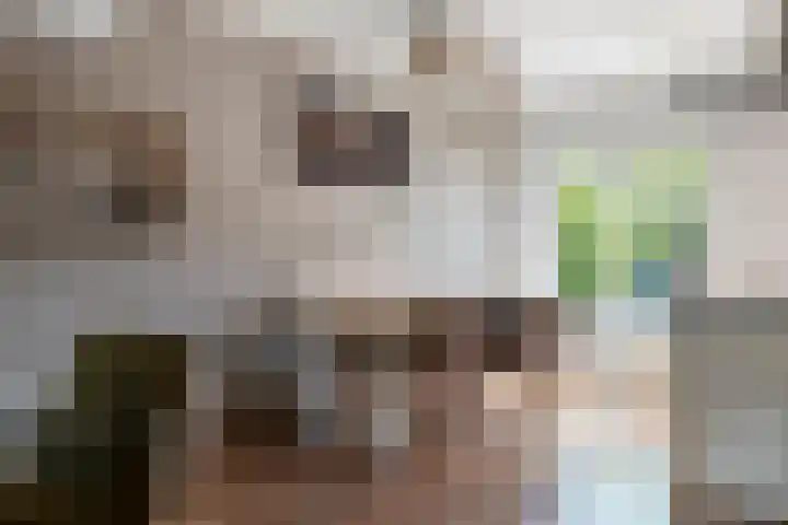 Steenakker 71 Druten thumbnail 11