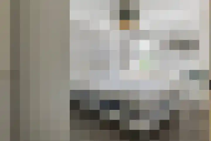 Steenakker 71 Druten thumbnail 14
