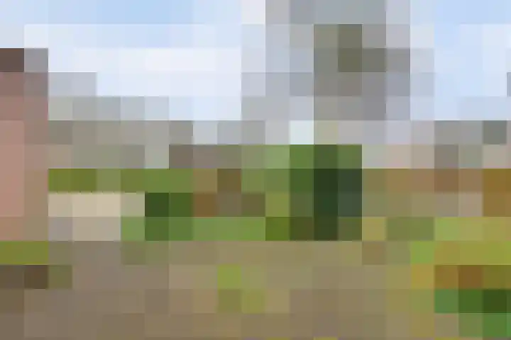 Steenakker 71 Druten thumbnail 16