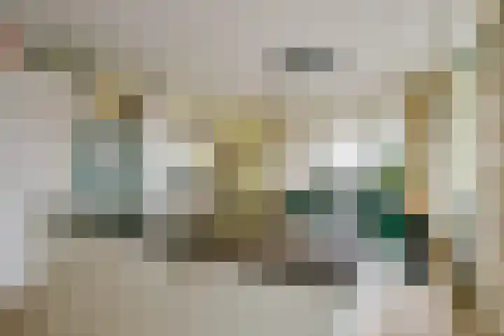 Steenakker 71 Druten thumbnail 17