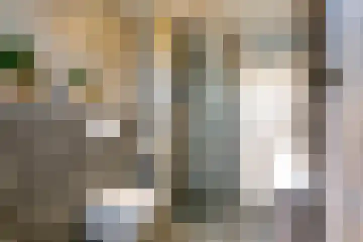 Steenakker 71 Druten thumbnail 20