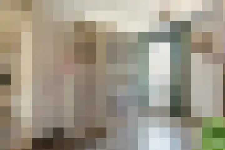 Steenakker 71 Druten thumbnail 23
