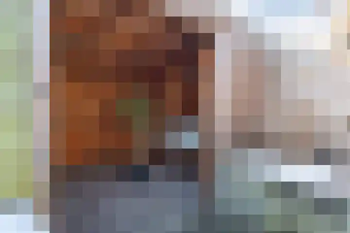 Steenakker 71 Druten thumbnail 24