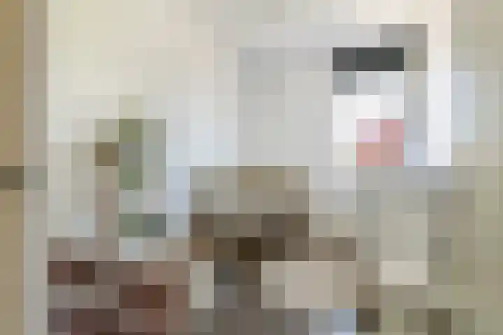 Steenakker 71 Druten thumbnail 24