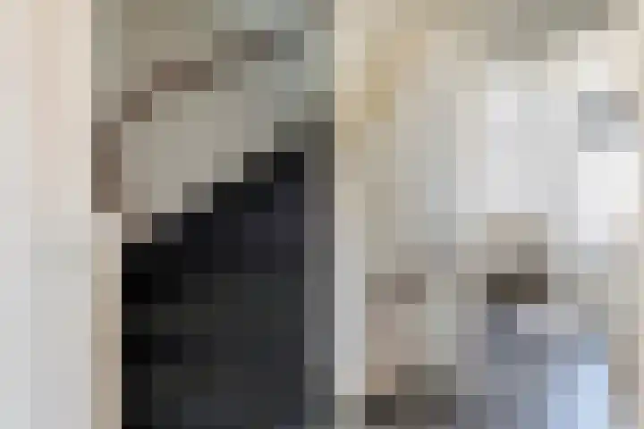 Steenakker 71 Druten thumbnail 26