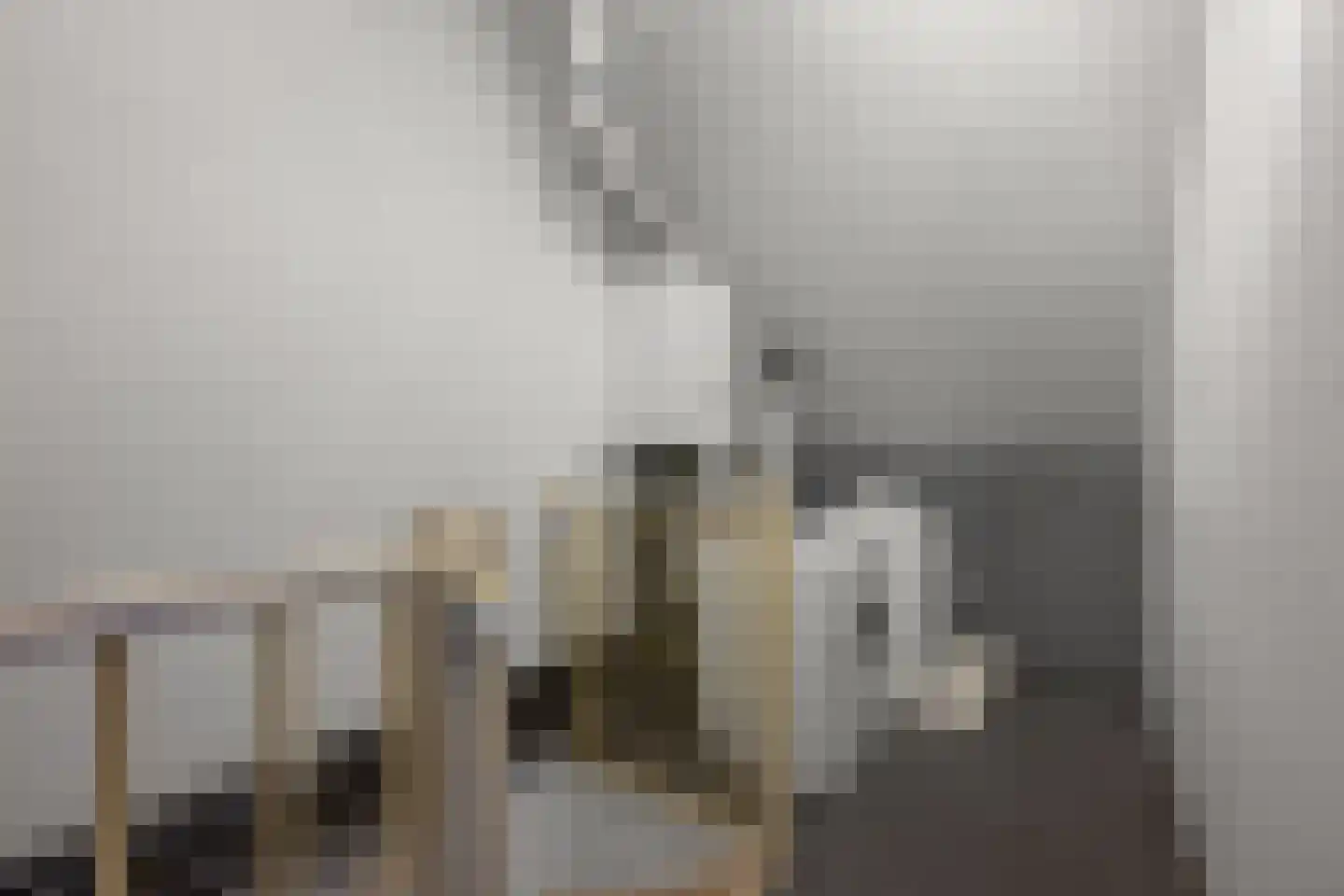 Steenakker 71 Druten thumbnail 29