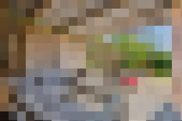 Steenakker 71 Druten thumbnail 34