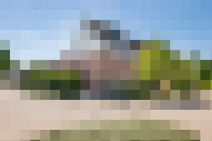 Steenakker 71 Druten thumbnail 36