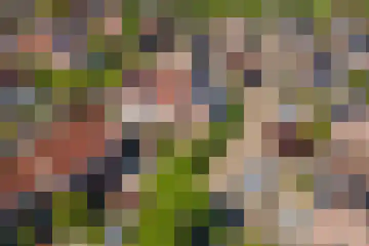 Steenakker 71 Druten thumbnail 39