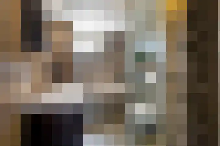 Steenakker 71 Druten thumbnail 4