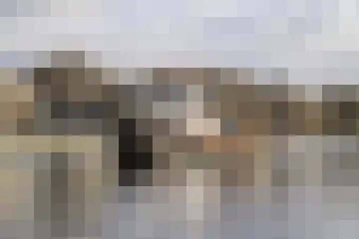 Steenakker 71 Druten thumbnail 44