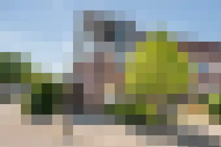 Steenakker 71 Druten thumbnail 5