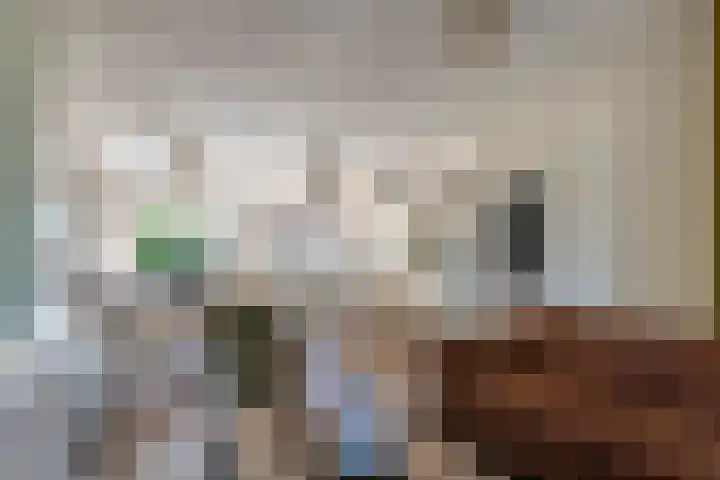 Steenakker 71 Druten thumbnail 7