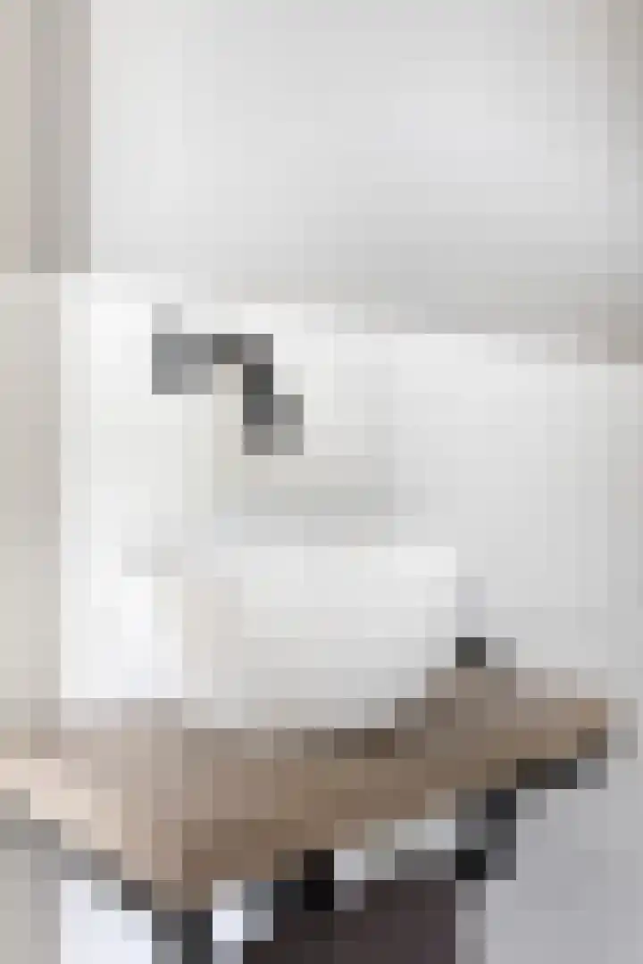 Steenakker 9 Druten thumbnail 10