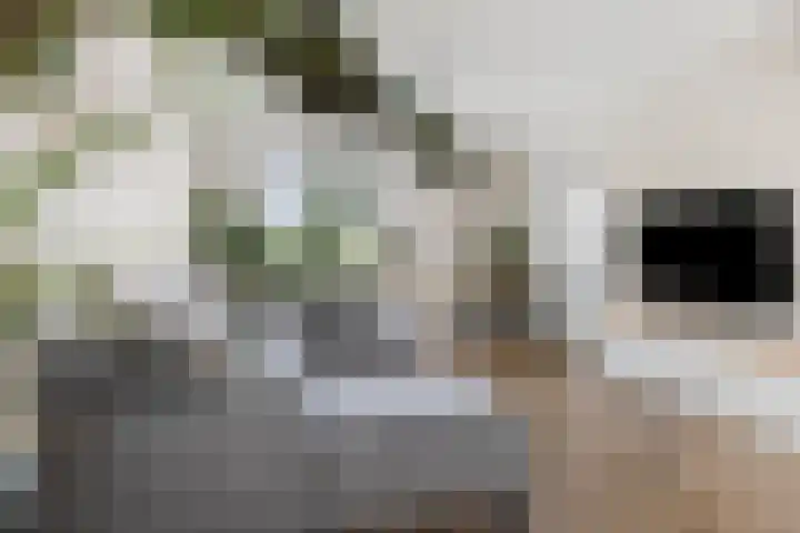 Steenakker 9 Druten thumbnail 12