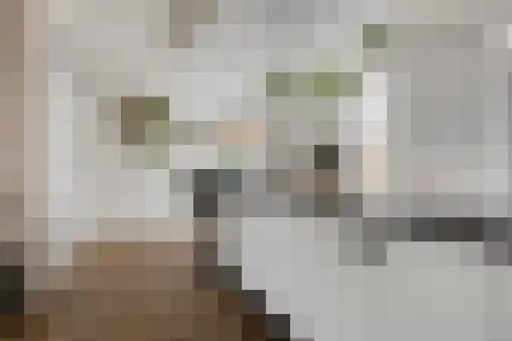 Steenakker 9 Druten thumbnail 14
