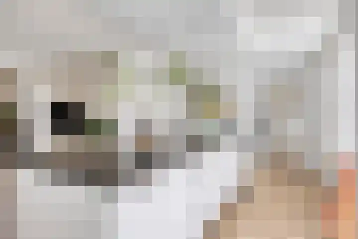 Steenakker 9 Druten thumbnail 16