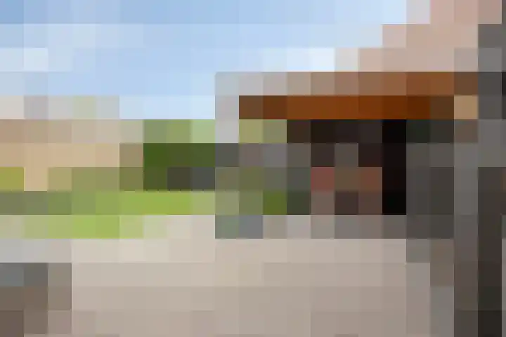Steenakker 9 Druten thumbnail 31