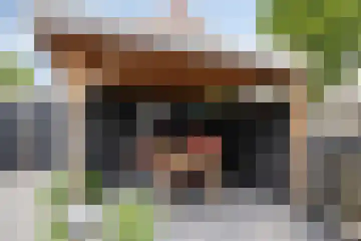 Steenakker 9 Druten thumbnail 32