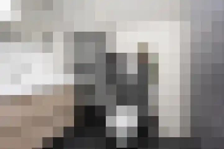Steenakker 9 Druten thumbnail 4
