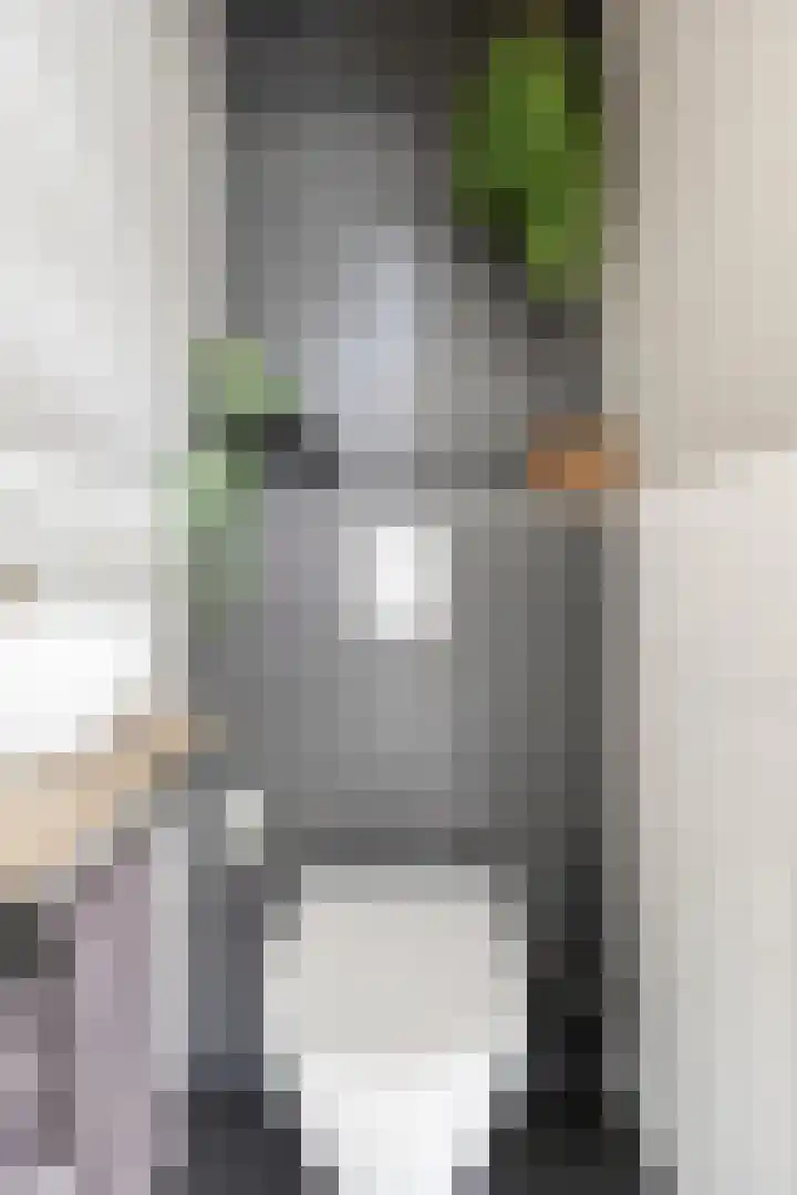 Steenakker 9 Druten thumbnail 9