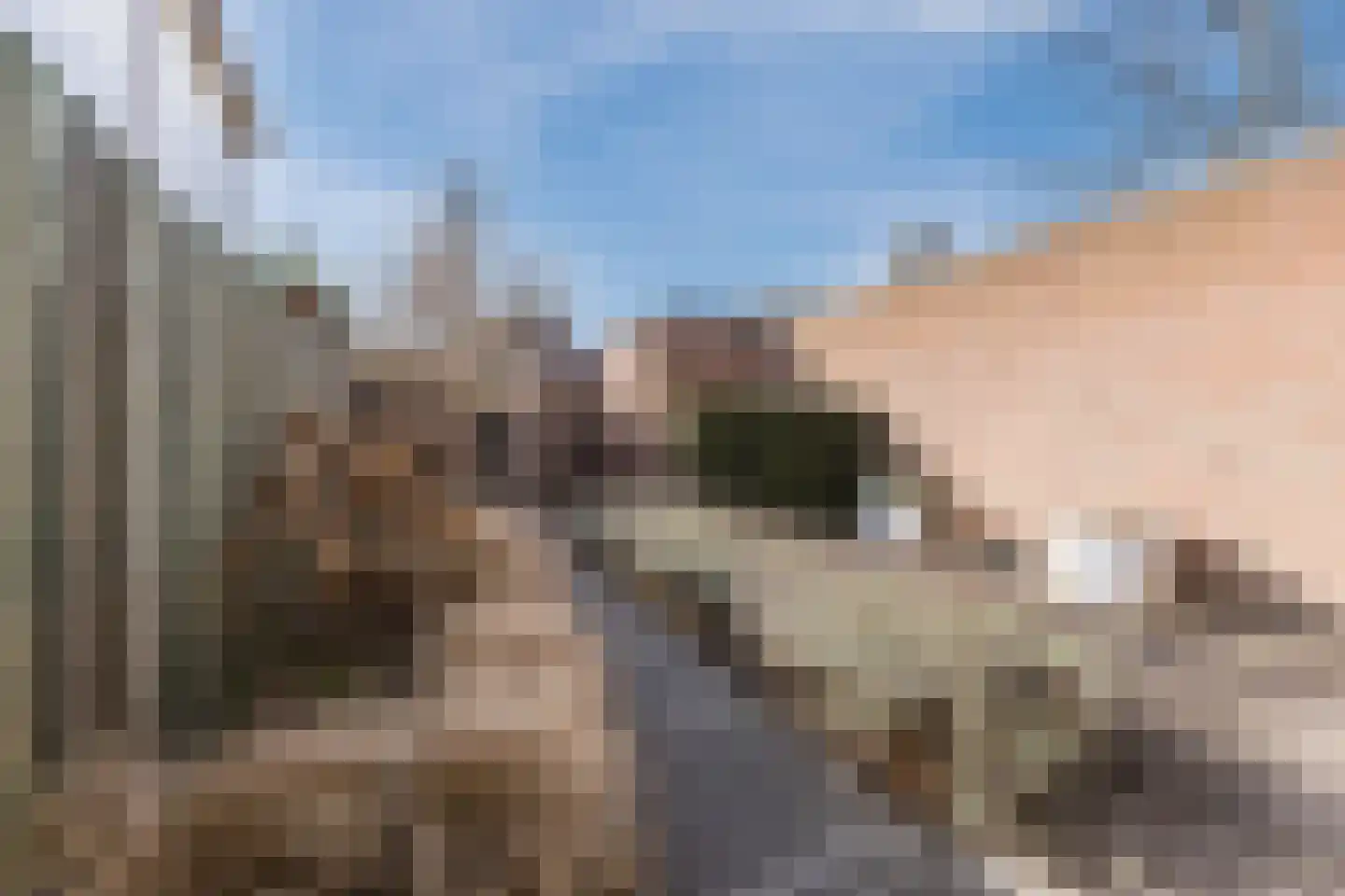 Steenakkerplein 11 Gilze thumbnail 18