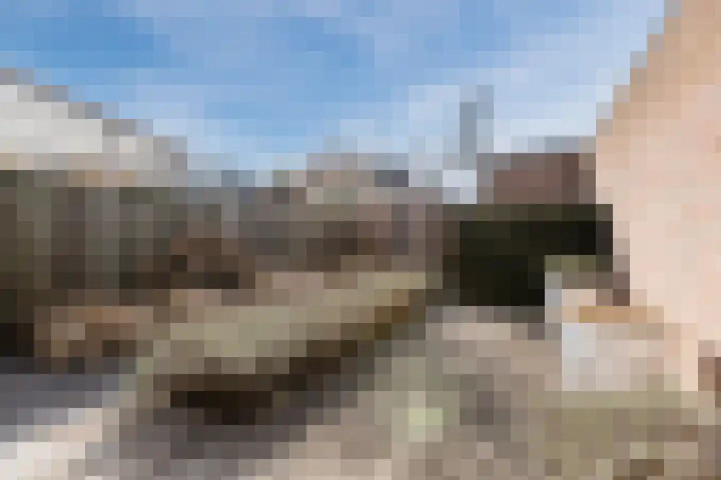 Steenakkerplein 11 Gilze thumbnail 19