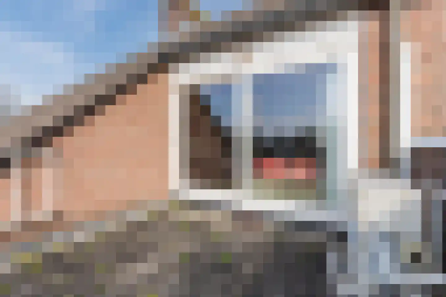 Steenakkerplein 11 Gilze thumbnail 39