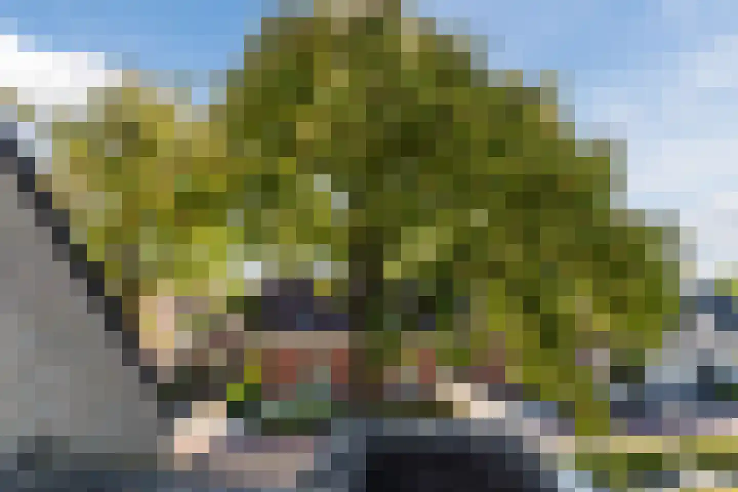 Steenakkerplein 14 Gilze thumbnail 37