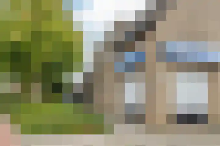 Steenakkerplein 17 Gilze thumbnail 34
