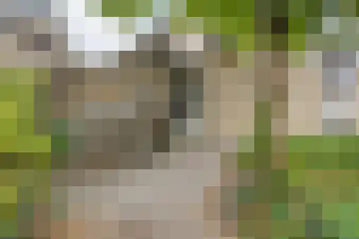 Steenakkerplein 17 Gilze thumbnail 5