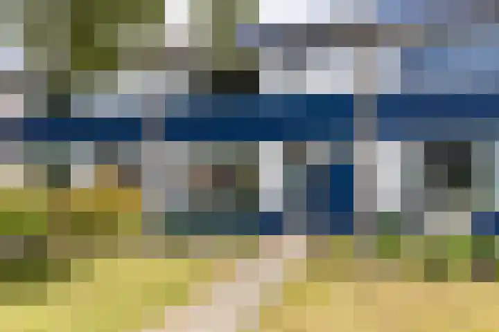Steenakkers 43 en Tynaarlo