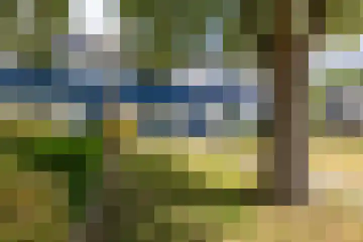 Steenakkers 43 Tynaarlo thumbnail 10