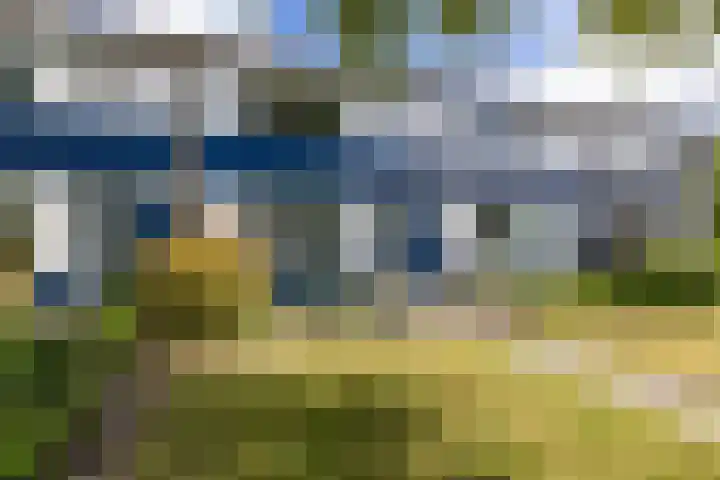 Steenakkers 43 Tynaarlo thumbnail 11