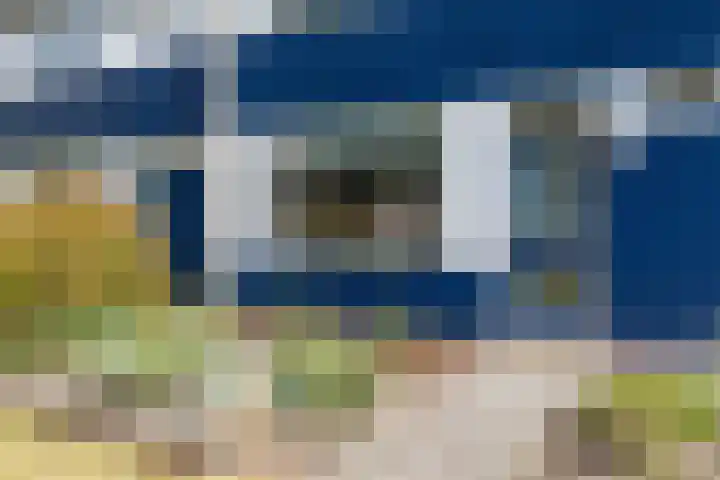 Steenakkers 43 Tynaarlo thumbnail 12