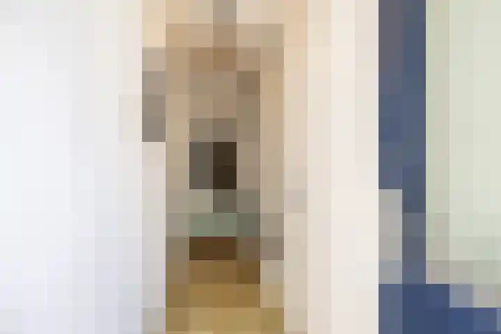 Steenakkers 43 Tynaarlo thumbnail 13
